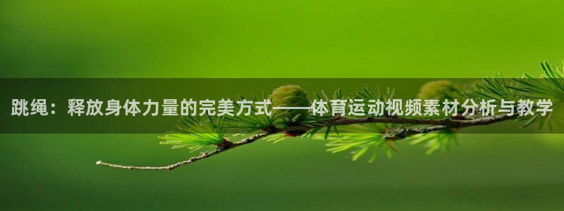 MK体育官方正版app娱乐下载：跳绳：释放身体力量的