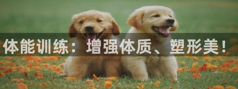 MK体育官网下载招商电话号码是多少号：体能训练：增强