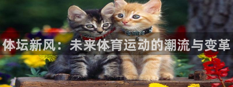 MK体育官方正版app集团E.ON：体坛新风：未来体