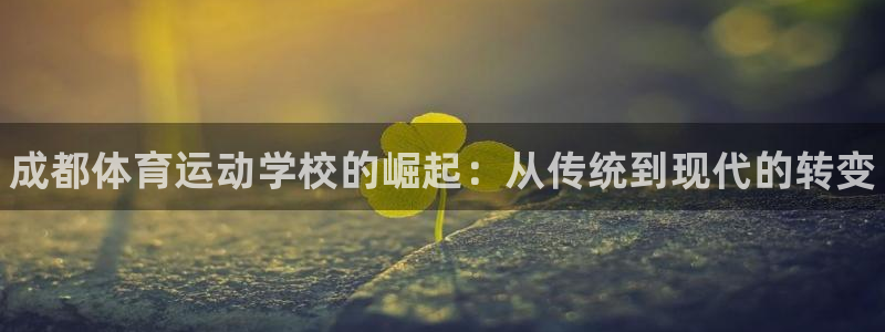 MK体育官方正版app娱乐首页网站大全：成都体育运动