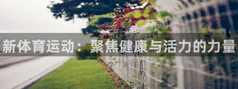 MK体育官网下载招商：新体育运动：聚焦健康与活力的力量