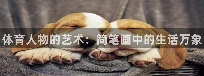MK体育官方正版app开户：体育人物的艺术：简笔画中的生活万