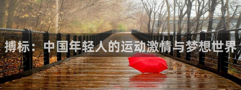 MK体育官网下载开户：搏标：中国年轻人的运动激情与梦想世界