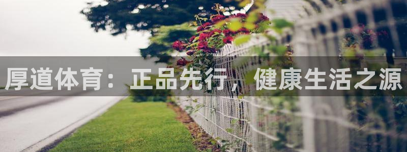 德国MK体育官方正版app集团：厚道体育：正品先行，健康生活
