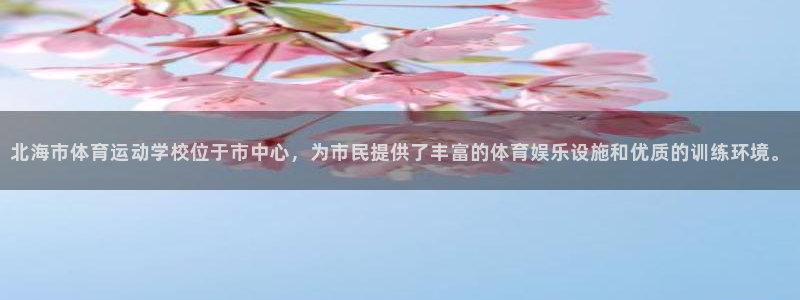 MK体育官方正版app娱乐网站