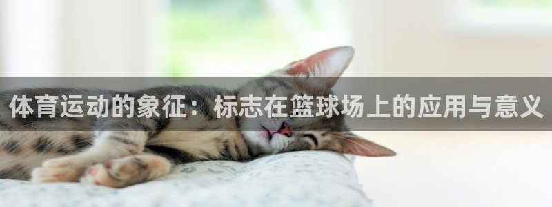 MK体育官网下载招商电话号码是多少啊