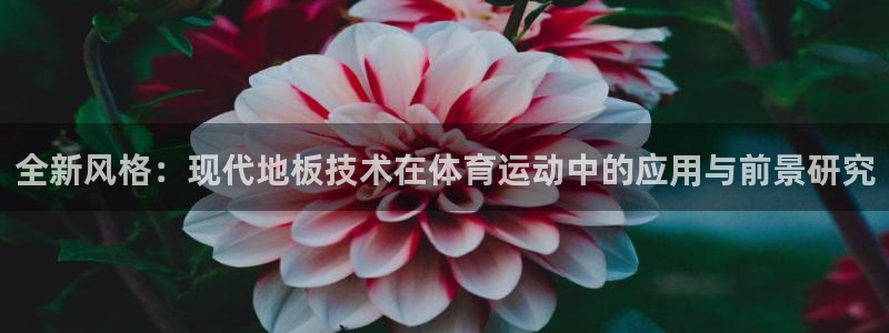 MK体育官方正版app代理：全新风格：现代地板技术在体育运动