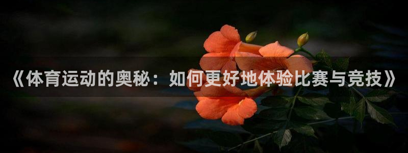 MK体育官网下载招商电话是多少：《体育运动的奥秘：如