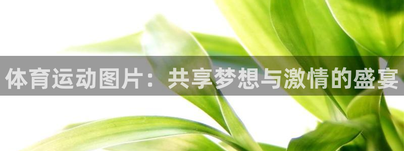 MK体育官网下载招商电话号码是多少：体育运动图片：共