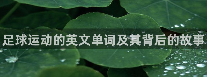 MK体育官方正版app集团官网首页