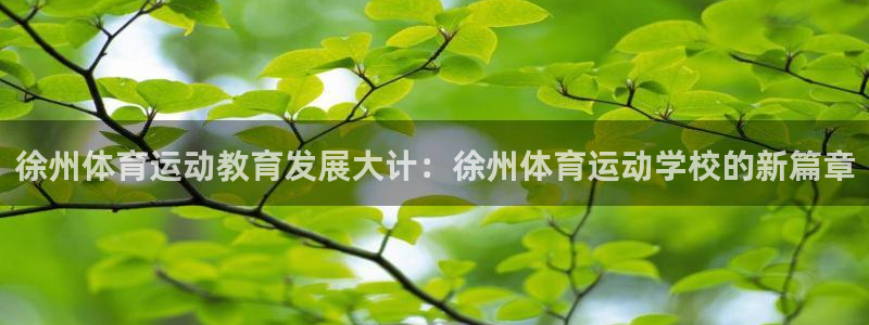 MK体育官网下载平台注册要钱吗：徐州体育运动教育发展大计：徐
