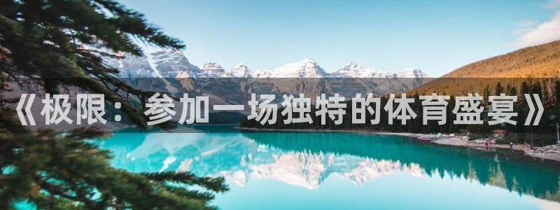MK体育官网下载平台注册要钱吗安全吗：《极限：参加一场独特的