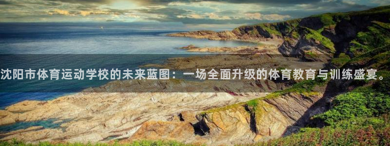 MK体育官网下载是干嘛的公司：沈阳市体育运动学校的未来蓝图：