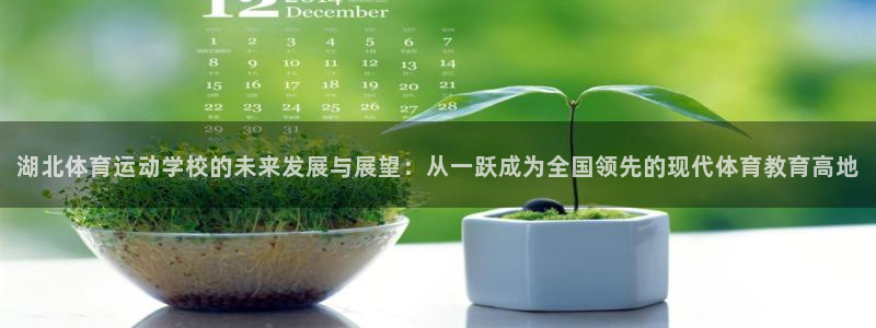 MK体育官方集团官网：湖北体育运动学校的未来发展与展望：从一