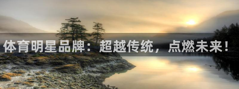 MK体育官网下载是干嘛的公司：体育明星品牌：超越传统，点燃未