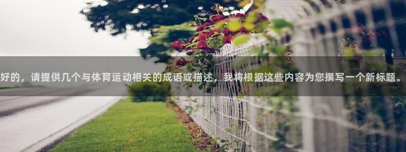 MK体育官网下载招商电话地址查询：好的，请提供几个与体育运动