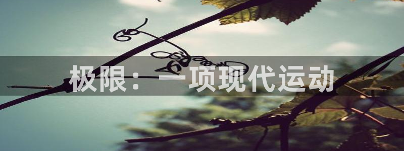 MK体育官方正版app集团：极限：一项现代运动