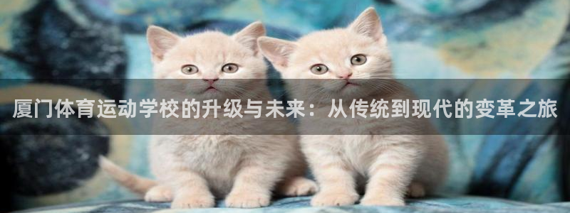 MK体育官网下载招商电话