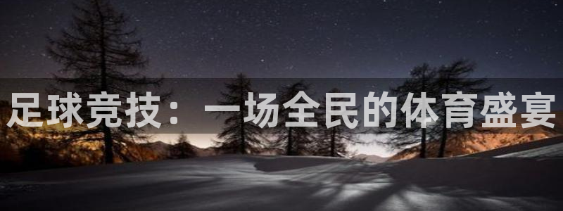 MK体育官方正版app集团简介：足球竞技：一场全民的