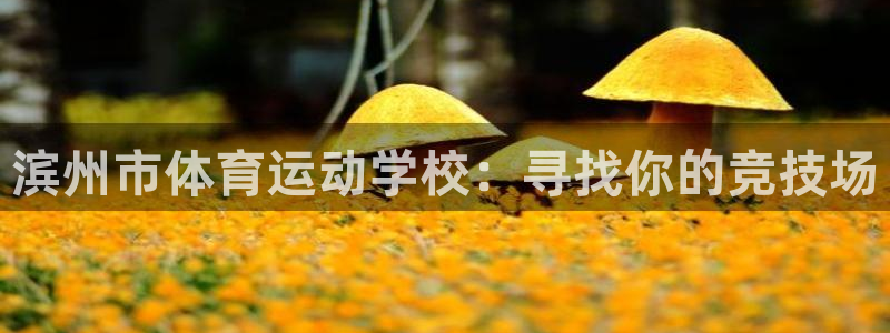 MK体育官网下载招商电话号码查询：滨州市体育运动学校：寻找你