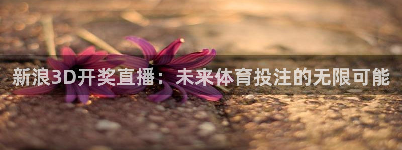 833篮球直播比赛在线观看：新浪3D开奖直播：未来体育投注的无限可能