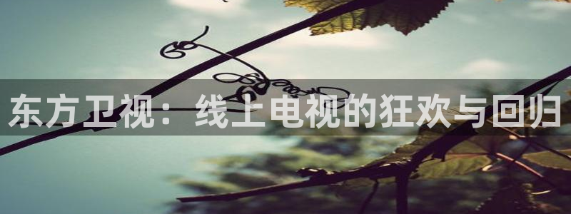833直播足球比赛官网：东方卫视：线上电视的狂欢与回归