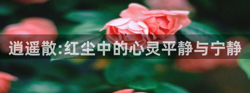 833直播：逍遥散:红尘中的心灵平静与宁静