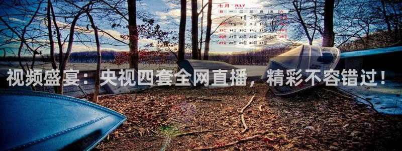 833足球比赛免费直播：视频盛宴：央视四套全网直播，精彩不容错过！
