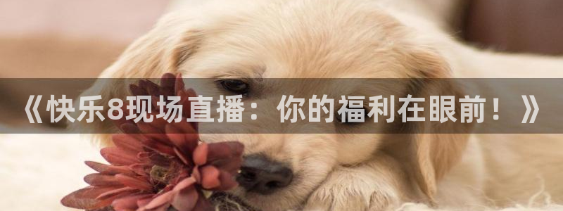 足球833直播免费观看直播：《快乐8现场直播：你的福利在眼前！》