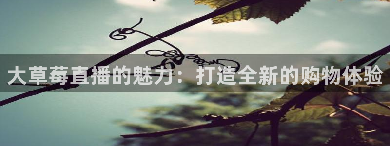 3833tv直播：大草莓直播的魅力：打造全新的购物体验