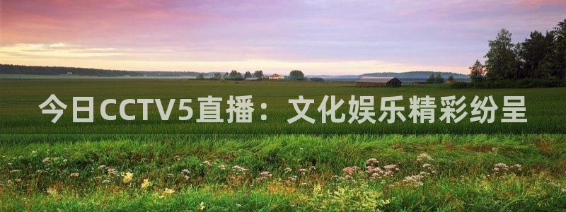 833直播足球比赛官网：今日CCTV5直播：文化娱乐精彩纷呈