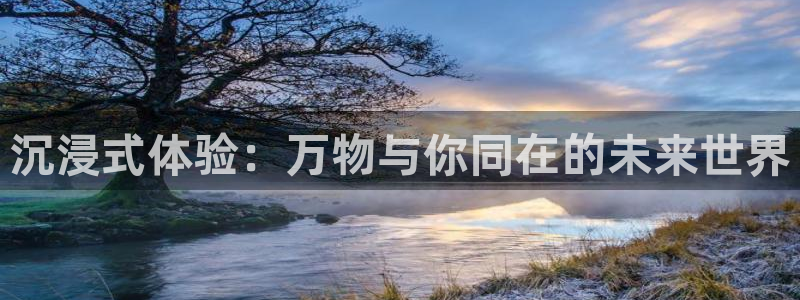 833足球直播：沉浸式体验：万物与你同在的未来世界